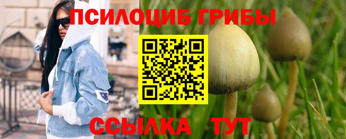 Псилоцибиновые грибы мухоморы Сергиев Посад